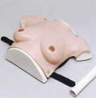 زن بالای بیمارستان بدن اندازه پستان شبیه ساز modreate برای معاینه تومور پستان