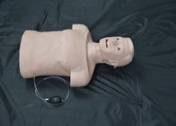 بزرگسالان نصف بدن لوله CPR Manikins کمکهای اولیه