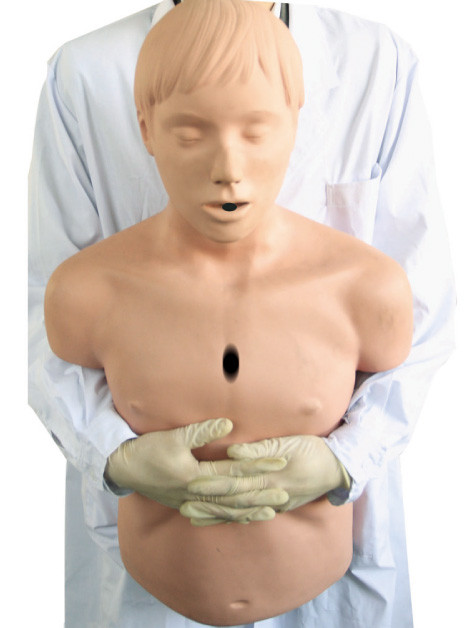نیمه - بدن مدل راه هوایی / CPR احیا مانکن هایدگر بزرگسالان کمک های اولیه