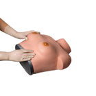Inspection Palpation Breast Gynecologic Simulator برای آموزش