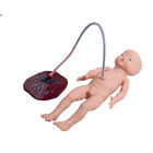 شبیه ساز تولد نوزاد با بند ناف SGS PVC Training