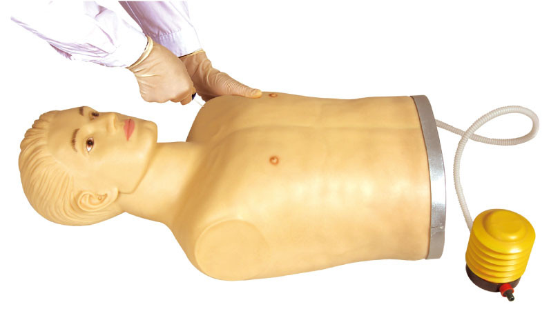 UNFPA  supplier pneumothorax Simulator training manikin with CE approved