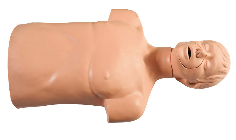 حفاظت از محیط زیست پی وی سی نیمه - بدن کمک های اولیه مانکنهای برای CPR عملیات تمرین