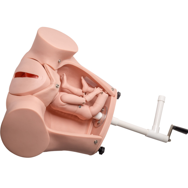 شبیه ساز تولد نوزاد با بند ناف SGS PVC Training