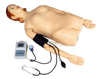 نیمه زن - بدن لمس شبیه ساز با اندازه گیری فشار خون برای مدرسه، بیمارستان