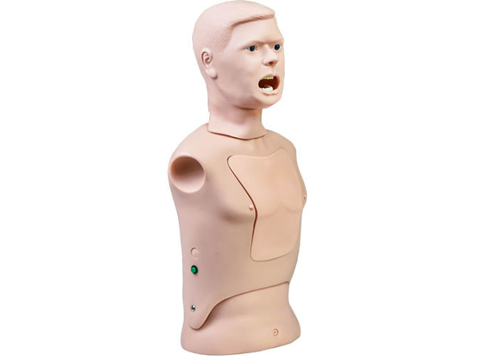 مدل آموزش سواب گلو مانکن پرستاری PVC تشخیص اسید نوکلئیک